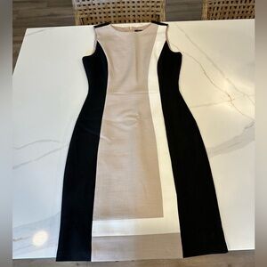 WHBM Sleeveless Sheath Dress